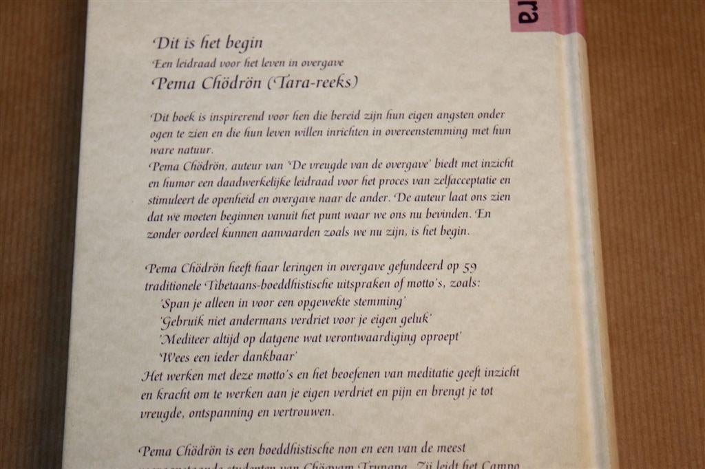 Dit is het Begin — Boeddhisme & Overgave — Chodron 1995, Ophalen of Verzenden, Gelezen, Overige onderwerpen, Achtergrond en Informatie