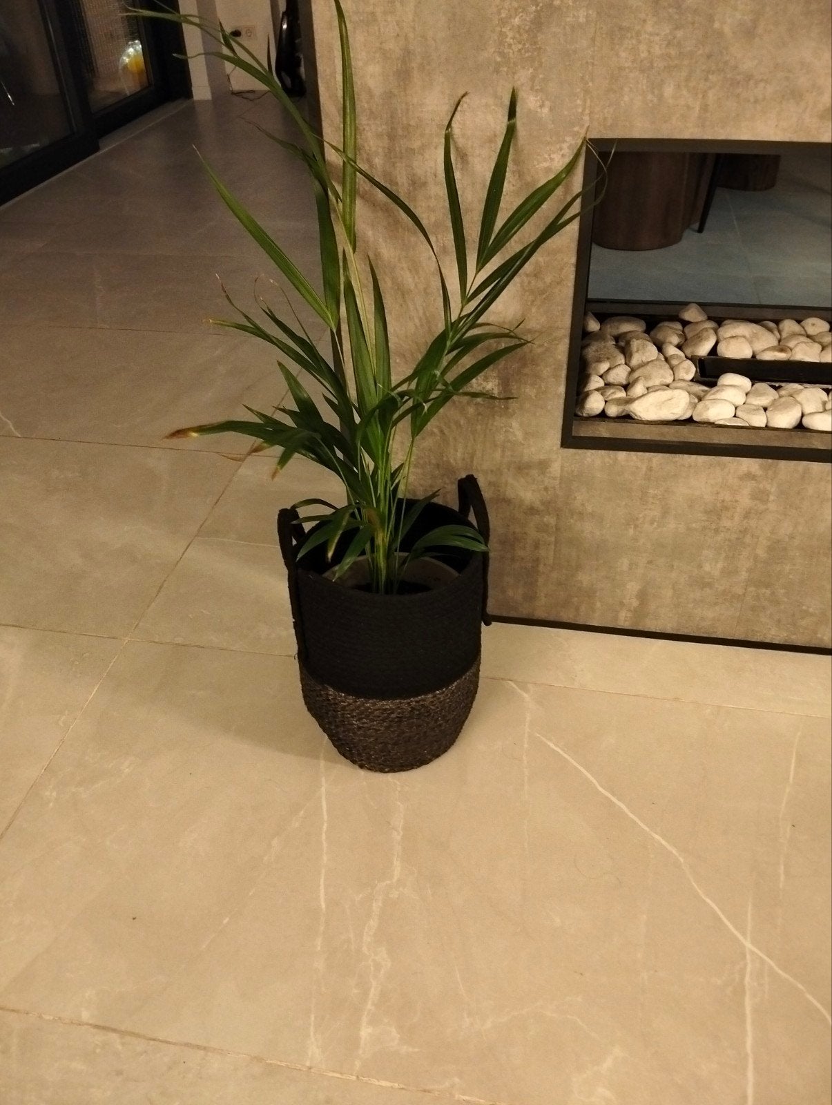 Mooie Areca Palm in decoratieve pot, Ophalen, 100 tot 150 cm, Palm, Halfschaduw