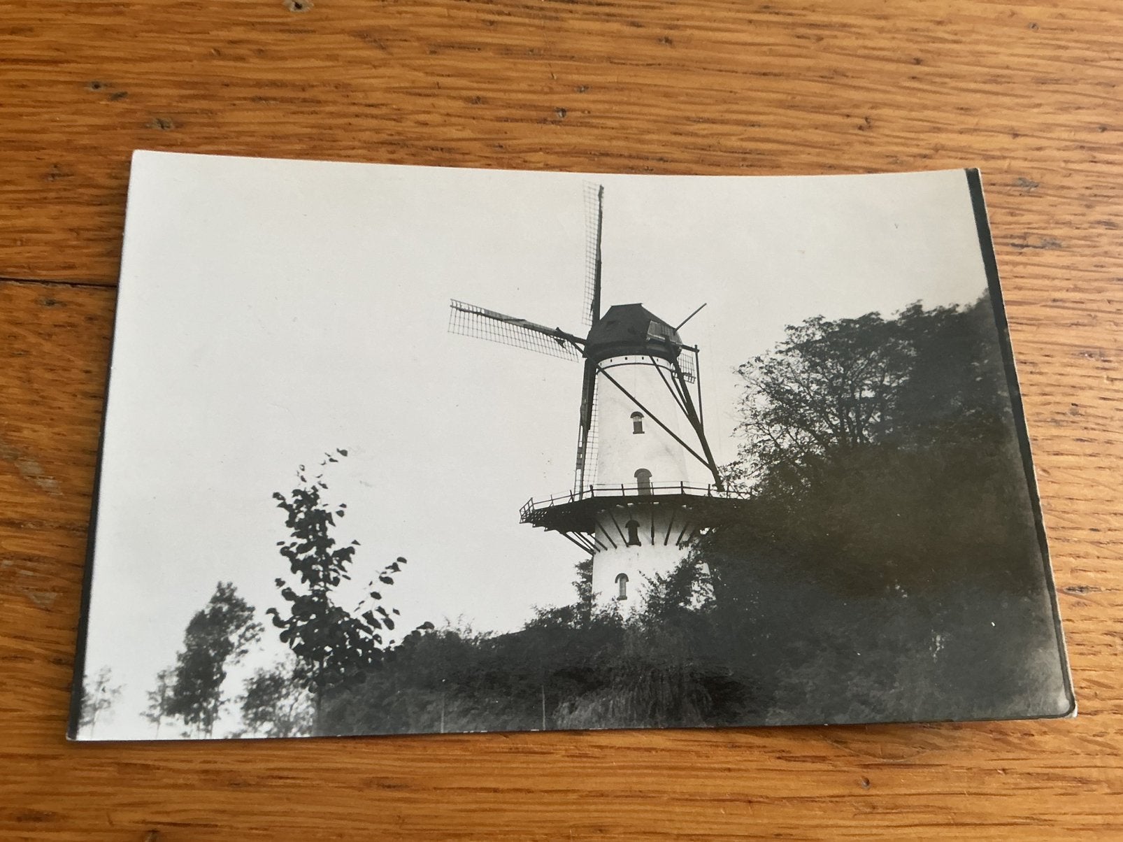 C20 Tholen molen, Ophalen of Verzenden, Voor 1940, Zo goed als nieuw