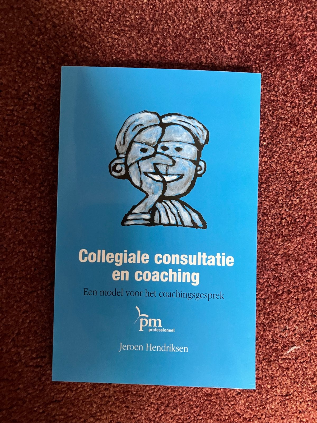 Collegiale consultatie en coaching - Jeroen Hendriksen, Ophalen of Verzenden, Zo goed als nieuw