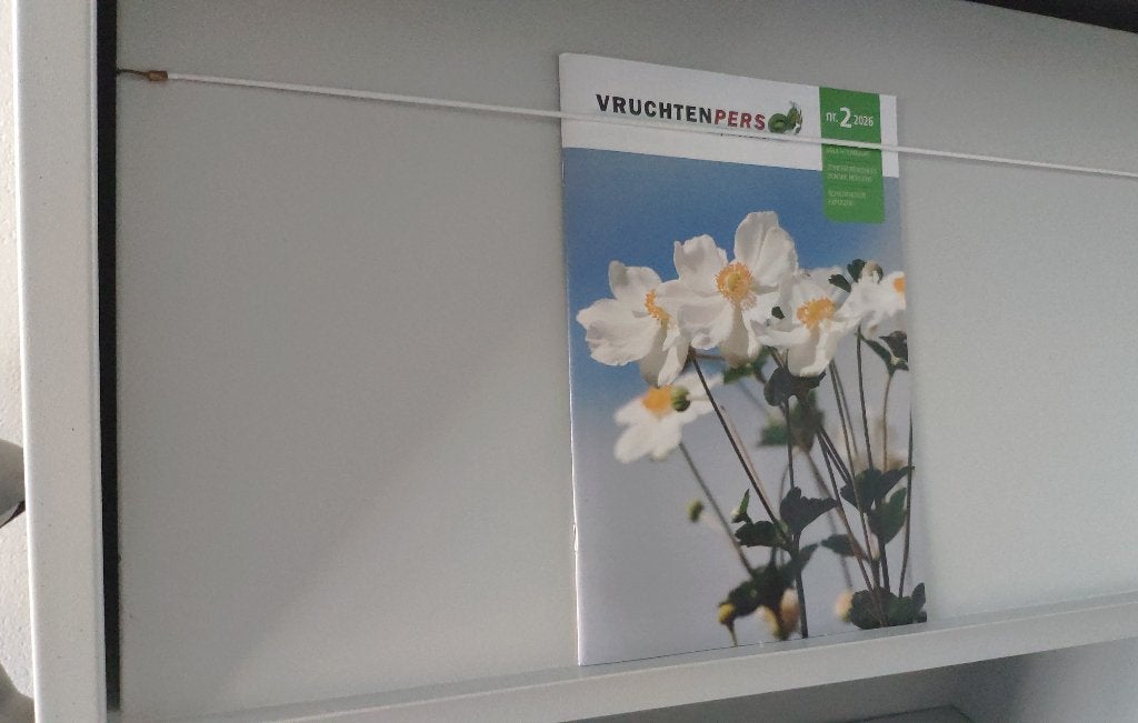 Tijdschriftenkast planken kleppen metaal kwaliteit kast, Ophalen, Gebruikt