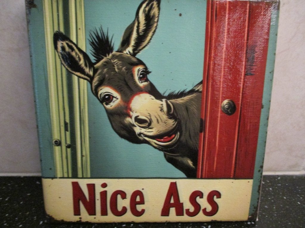 GRAPPIG SCHILDERIJTJE op CANVAS voor op toilet of je Mancave, 20 cm, Verzenden, Nieuw, 20 cm
