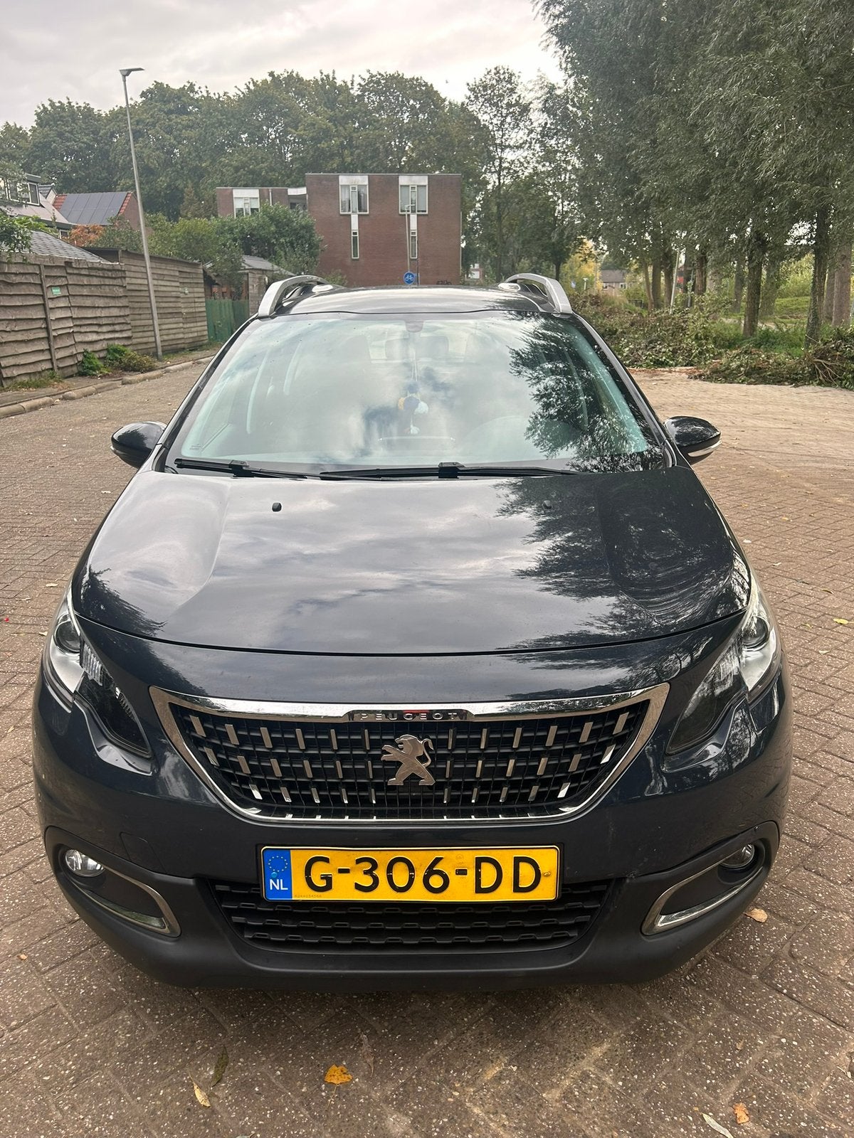 Peugeot 2008 1.2 Puretech 2019