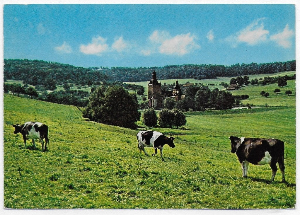 Zuid Limburg panorama gelopen ansichtkaart (B 2909 ), Ophalen of Verzenden, 1980 tot heden, Gelopen, Limburg