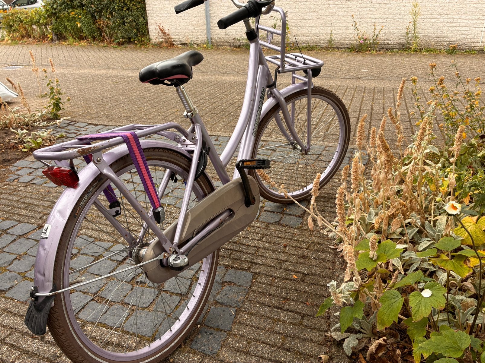 Kinder fiets, Terugtraprem, Gebruikt, Versnellingen, Ophalen