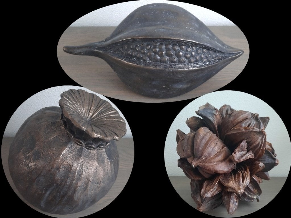 decoratie grote peulvrucht, papaverbol en waterkokosnoot, Ophalen of Verzenden, Natuurlijk materiaal, Bruin, Landelijk