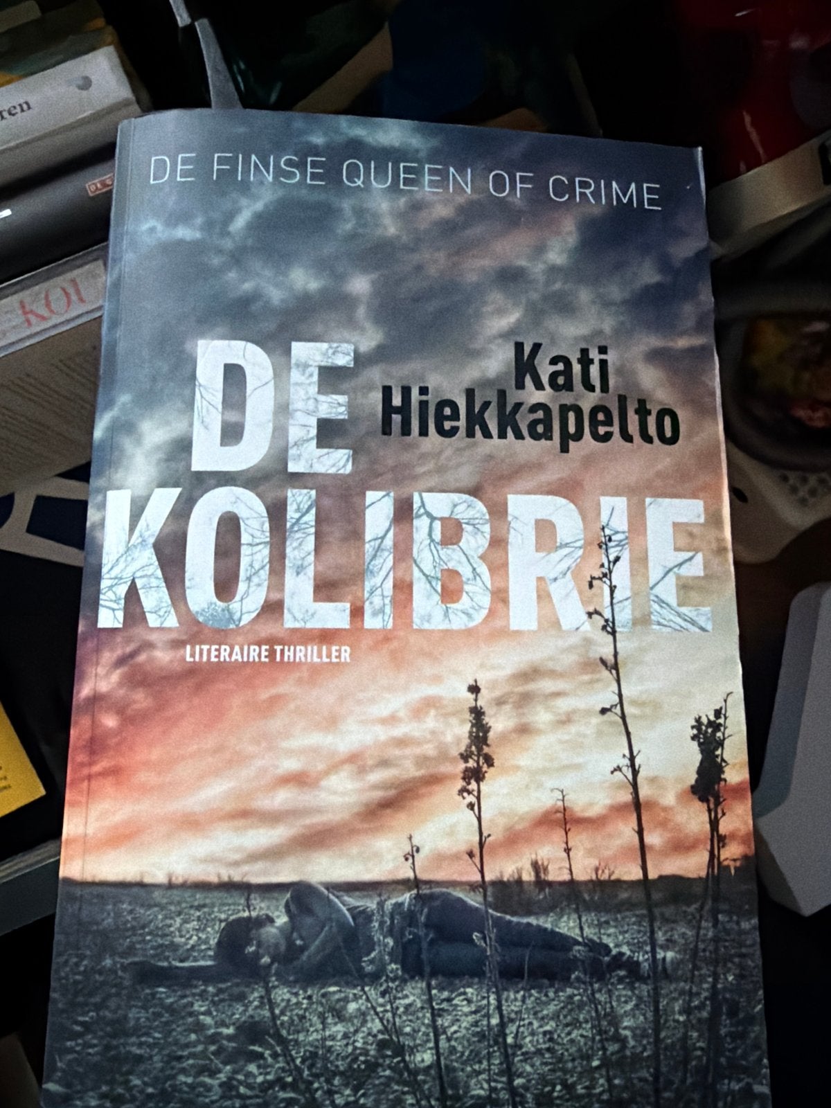 Z5.   Kati Hiekkapelto - De kolibrie, Scandinavië, Verzenden, Zo goed als nieuw, Kati Hiekkapelto