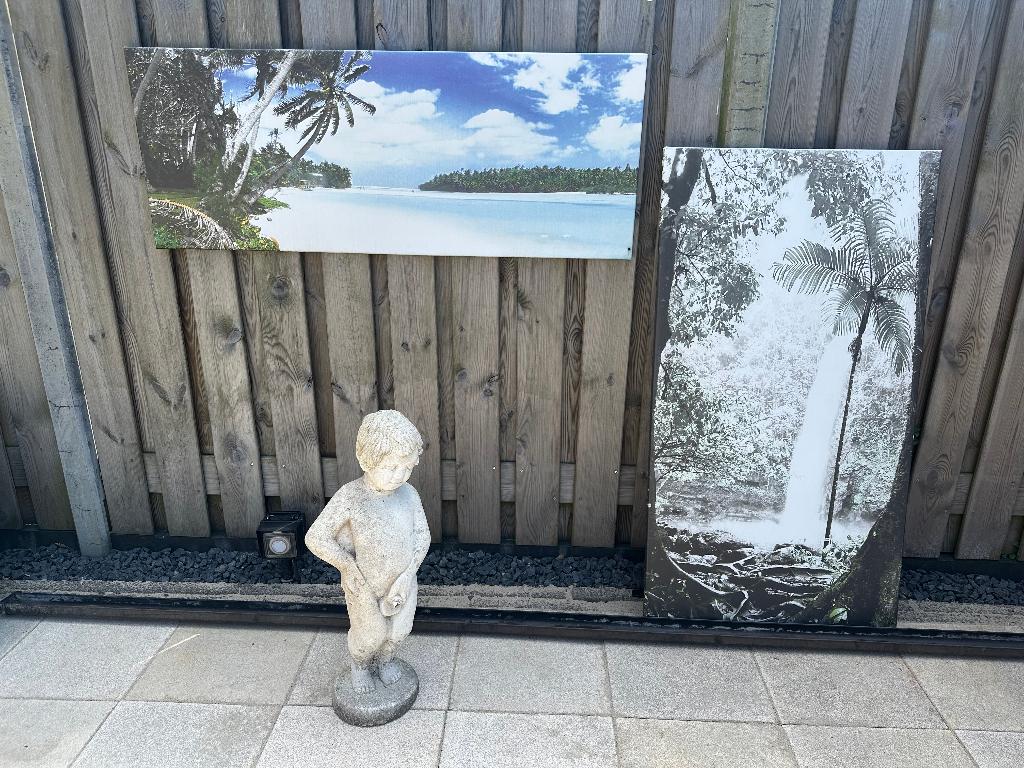 Weerbestedendige posters op frame, Verzamelen, Posters, Gebruikt, Dier of Natuur, Deurposter of groter, Rechthoekig Liggend, Canvas of Doek
