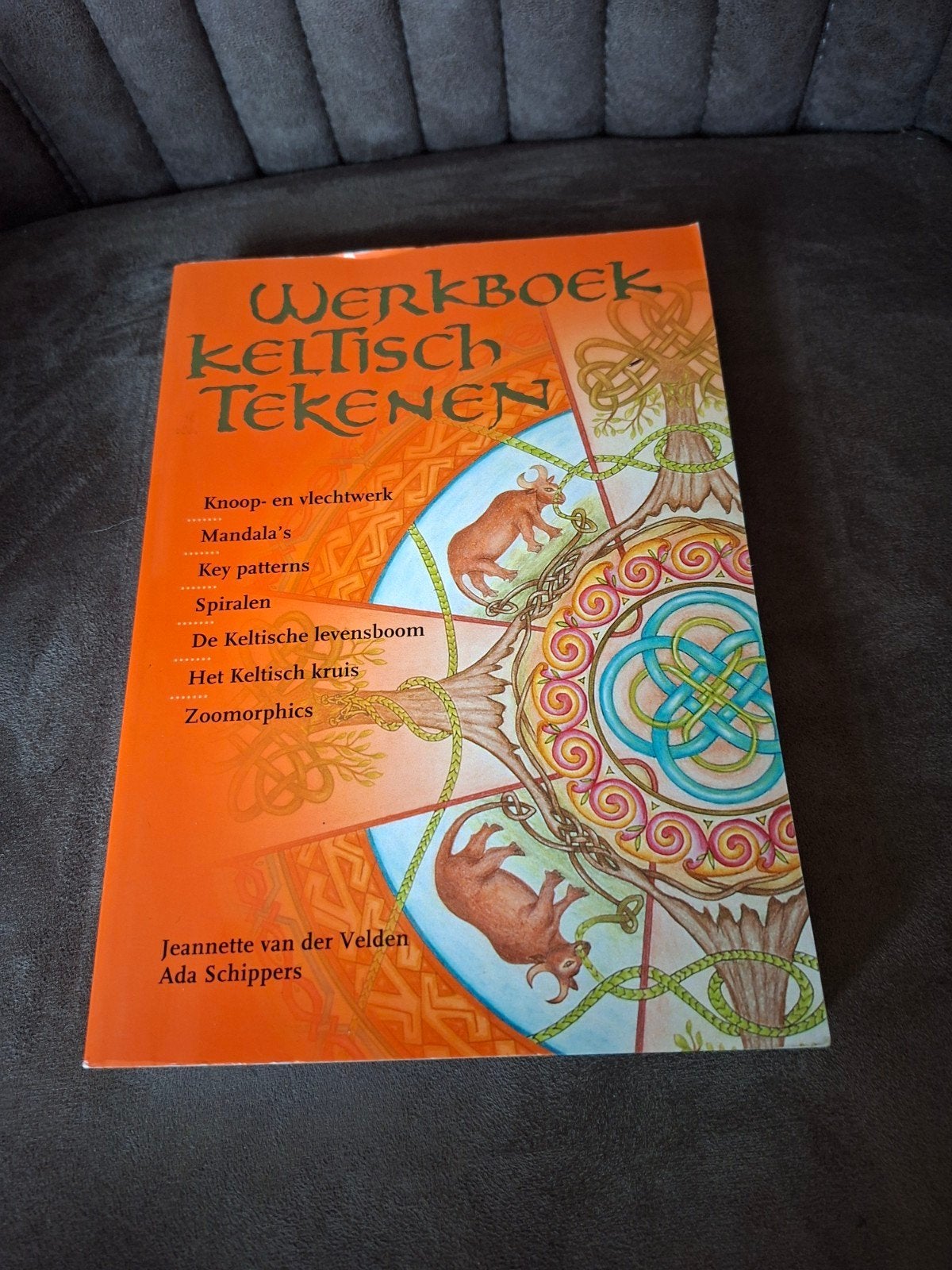 Werkboek Keltisch Tekenen - Jeannette van der Velden, Ophalen of Verzenden, Gelezen, Jeannette van der Velden, Ada Schippers