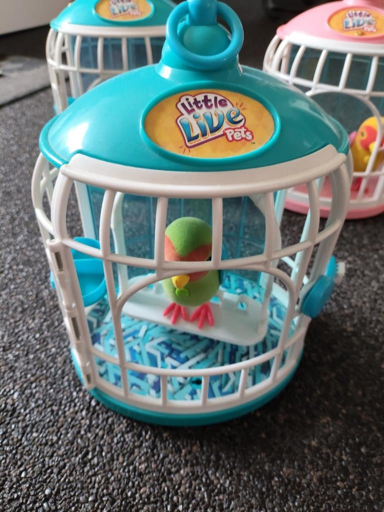 Little Live Pets Vogels en Uilen met Kooien, Ophalen of Verzenden, Gebruikt, Jongen of Meisje