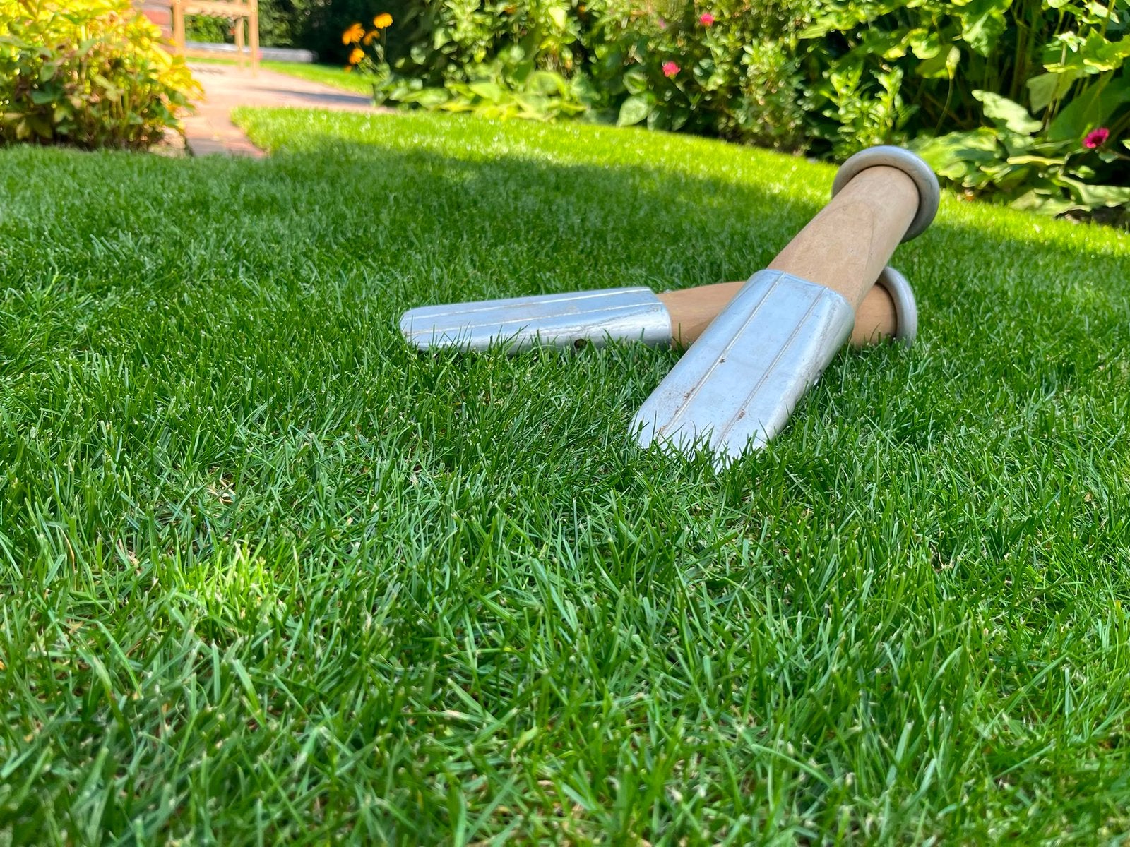 Velwiggen / kloofwig, Tuin en Terras, Planten | Bomen, Ophalen, Volle zon, Overige soorten, Minder dan 100 cm