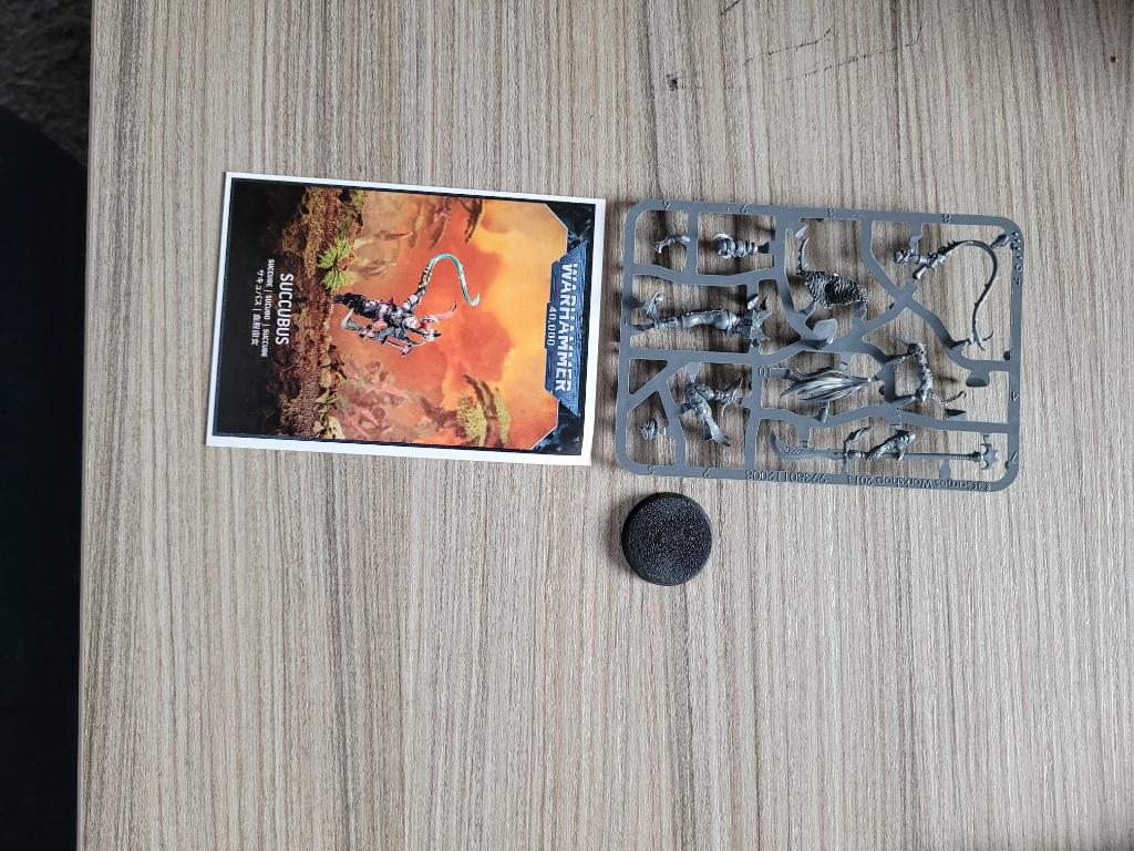 Warhammer 40k - Drukhari/Dark Eldar 1x Succubus op sprue, Ophalen of Verzenden, Nieuw, Warhammer 40000, Figuurtje(s)