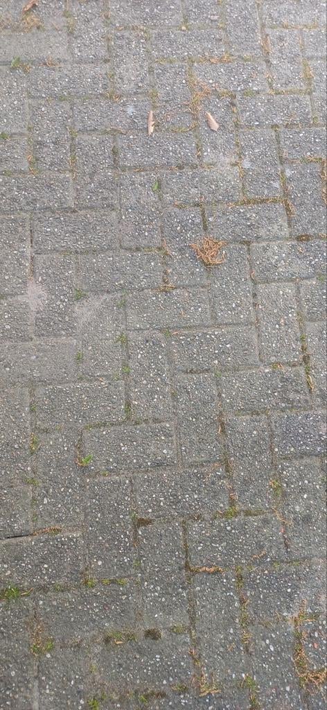 GRATIS: 200 M2 Gebruikte betonnen klinkers, Gebruikt, Klinkers, Ophalen of Verzenden, 10 m² of meer