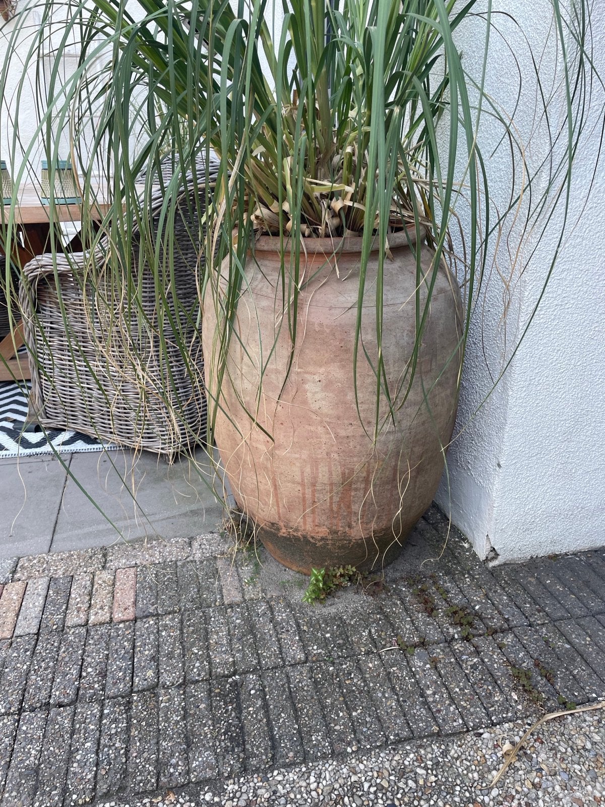 2 Grote Antieke Terracotta Kruiken - Waterkruik/Olijfkruik, Ophalen