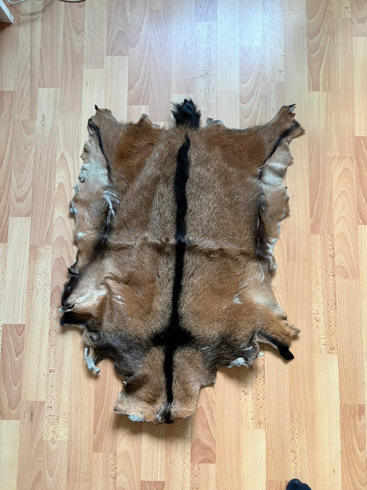 Mooie geitenhuid - decoratief en uniek, Verzamelen, Dierenverzamelingen, Ophalen of Verzenden, Gebruikt, Boerderijdier, Overige typen