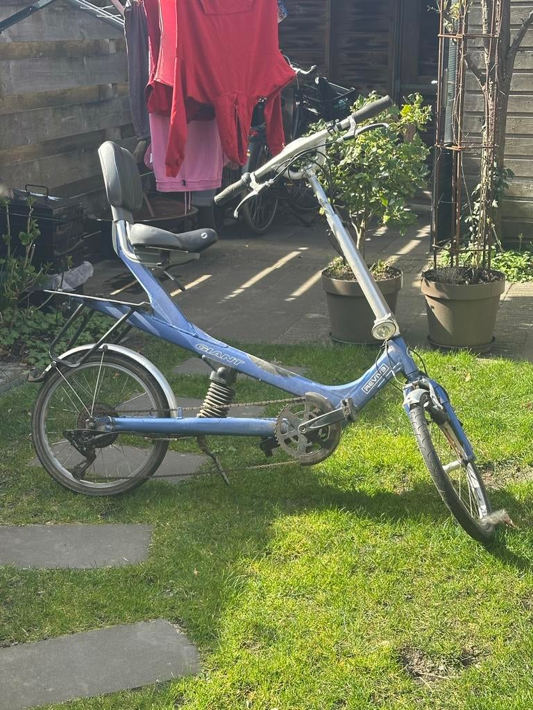 Giant ligfiets “zonder zadel”, Ophalen, Gebruikt, Bovenstuur, Giant