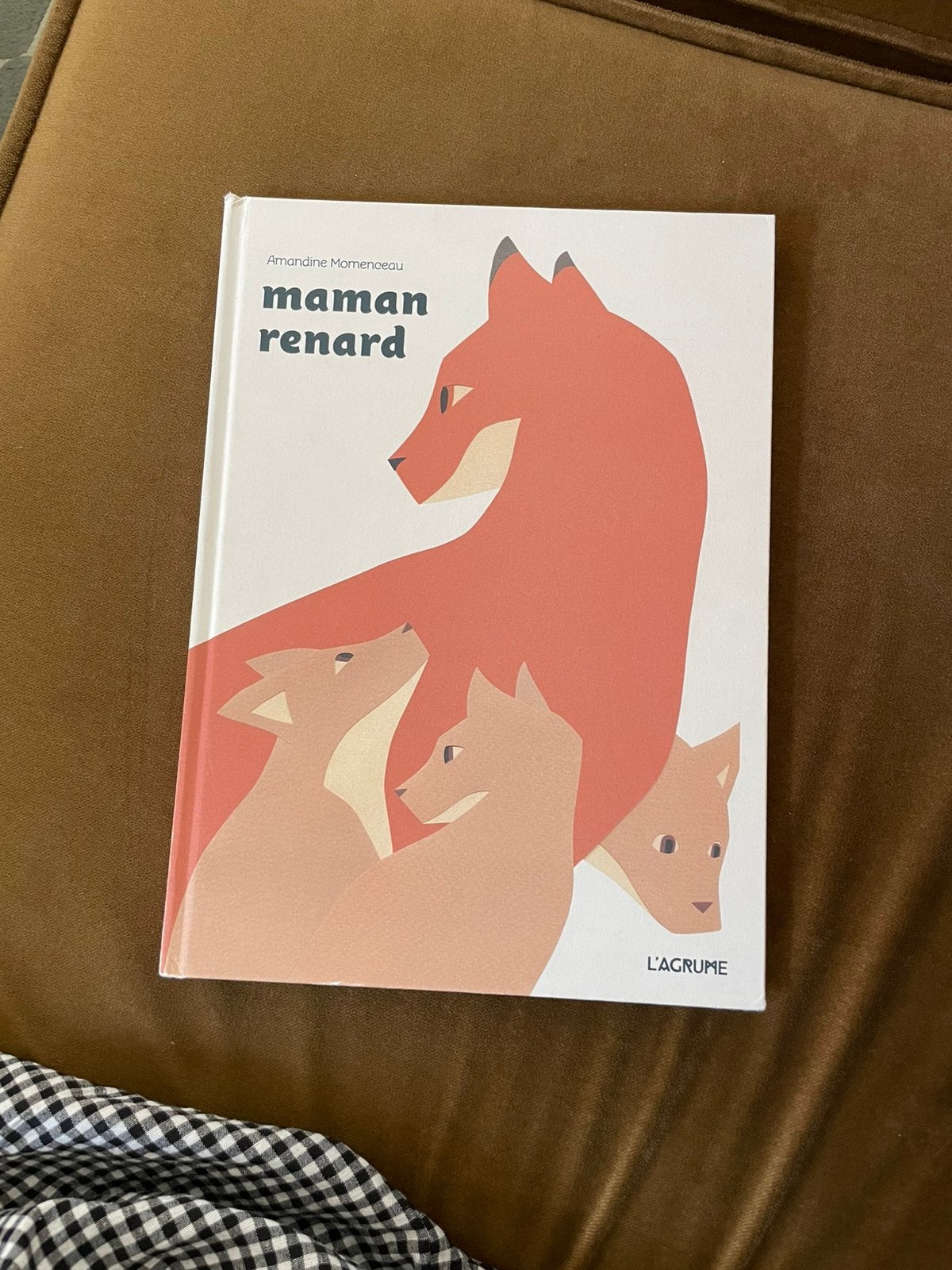 “Maman Renard” by Amandine Momenceau, Ophalen of Verzenden, Zo goed als nieuw, Mode algemeen