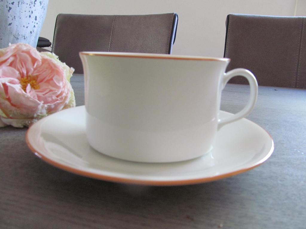 Rorstrand Primeur P555 Sweden Grote Kop en Schotel, Huis en Inrichting, Keuken | Servies, Keramiek, Ophalen of Verzenden, Zo goed als nieuw