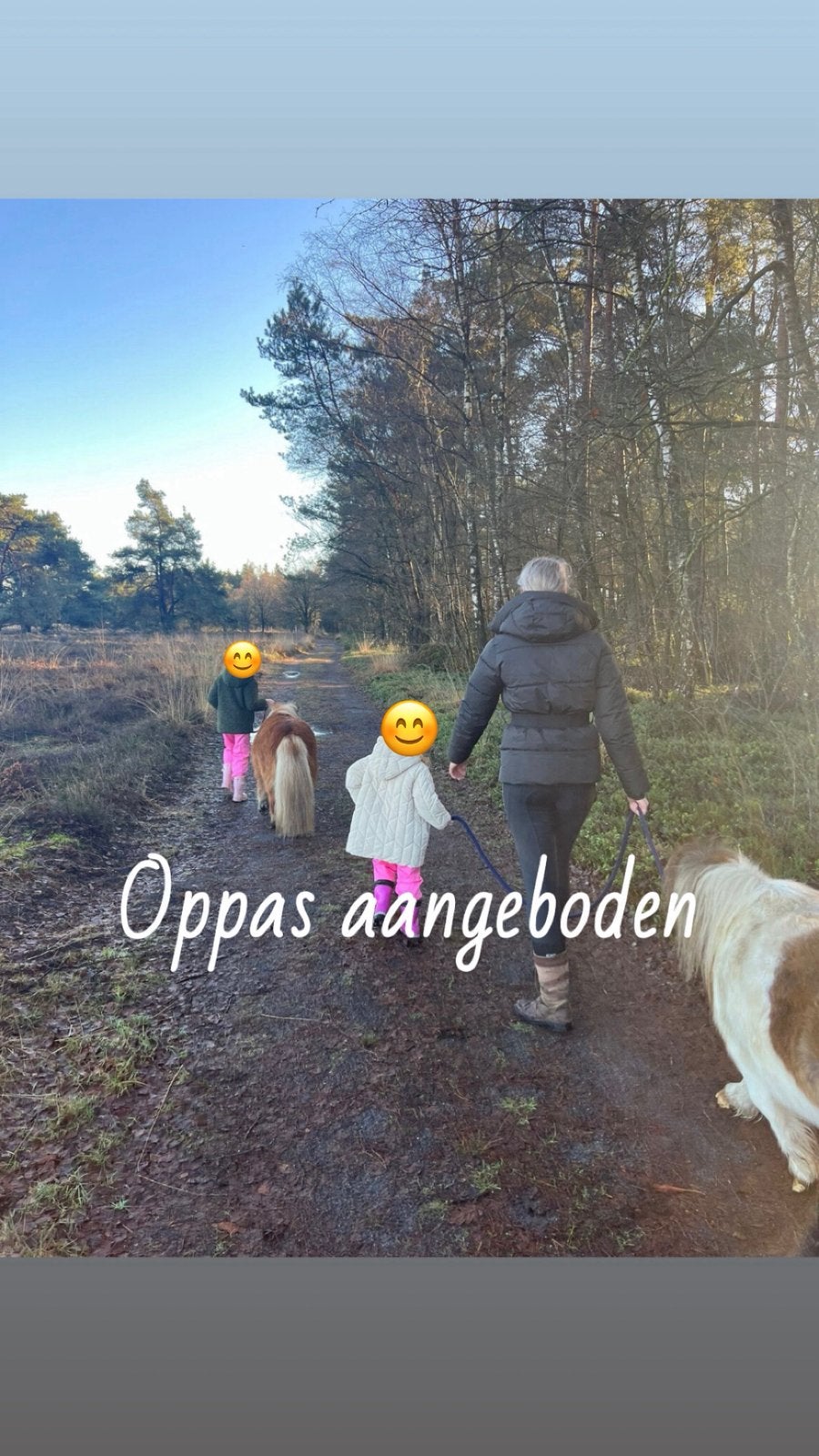 Oppas aangeboden, Ophalen of Verzenden, Overige typen