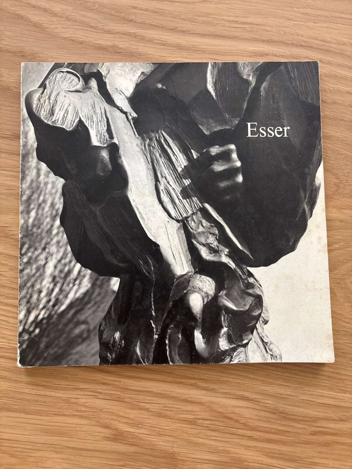 Esser: Beeldhouwkunst Catalogus, Boeken, Ophalen of Verzenden, Gelezen, Beeldhouwkunst