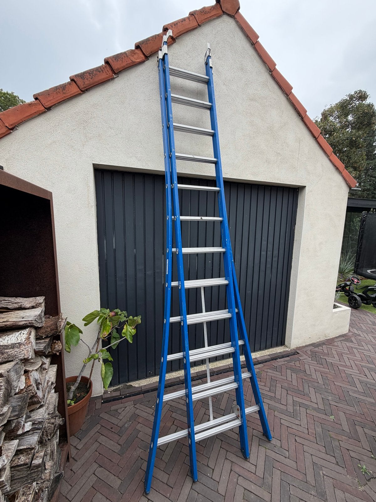Skyworks 2x12 ladder.