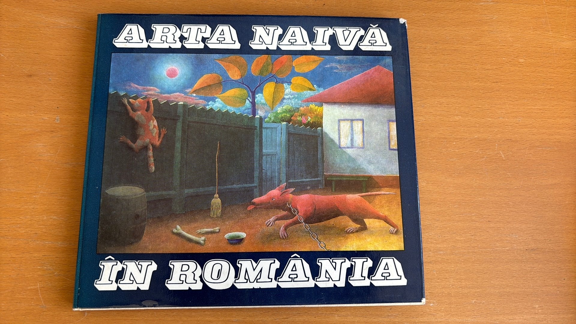 Arta naiva în  românia - Vasile Savonea, Ophalen of Verzenden, Zo goed als nieuw