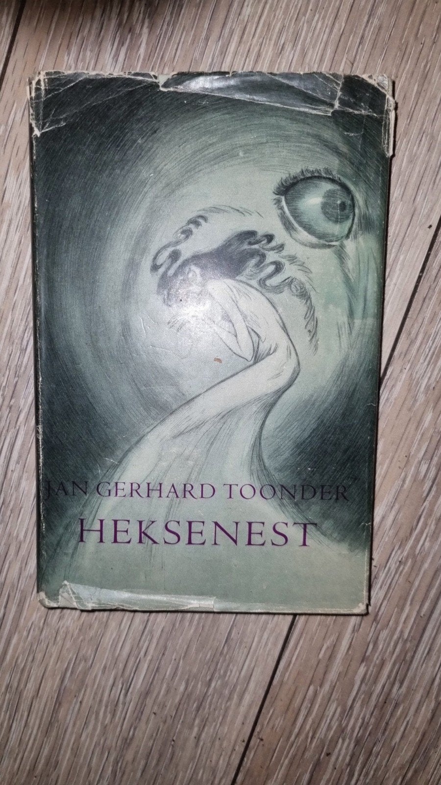 Heksenest - Jan Gerard Toonder (1934), Boeken, Ophalen of Verzenden, Gelezen, Jan Gerard Toonder