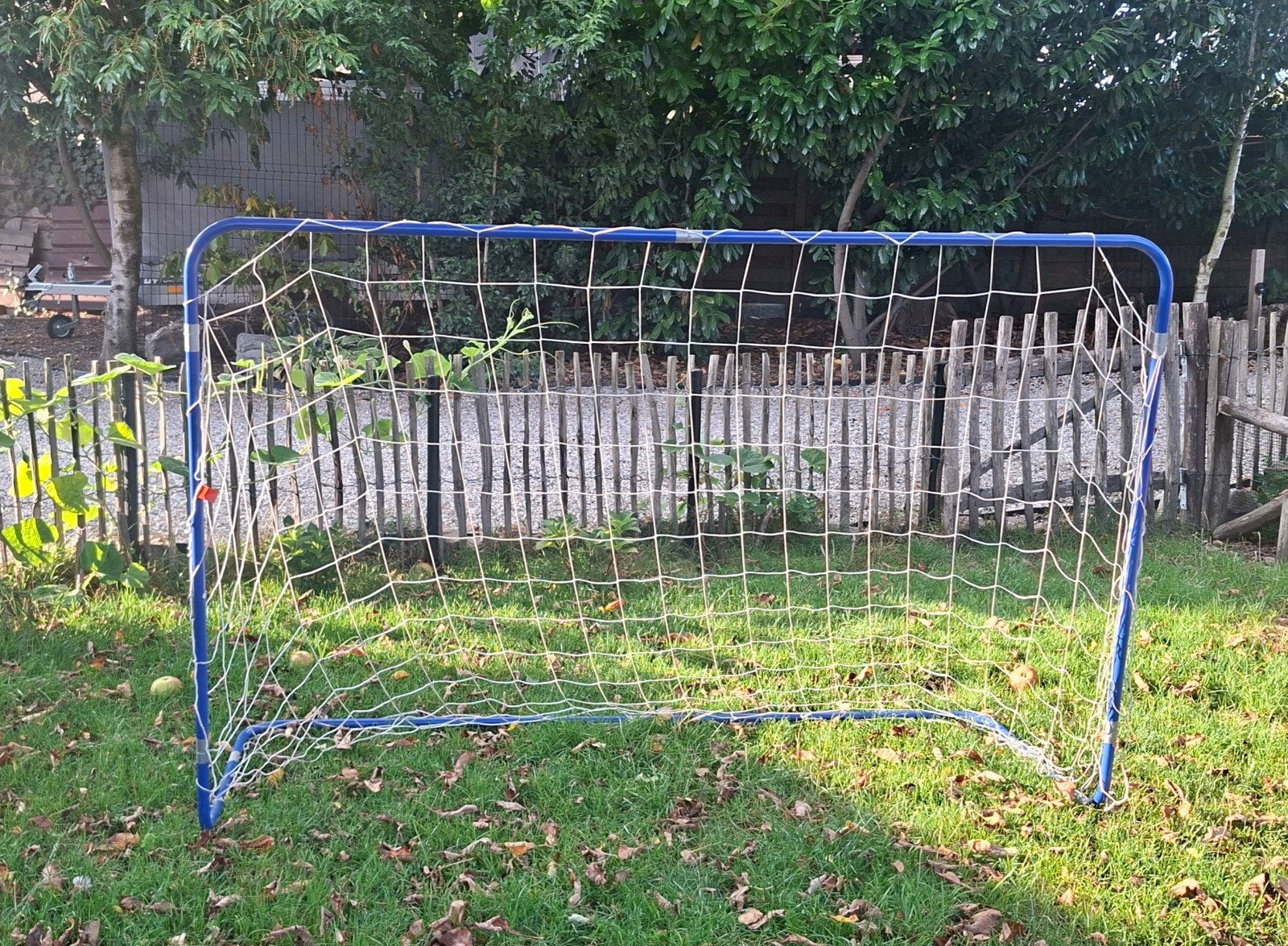 Voetbaldoel voor kinderen - Blauw frame, Ophalen