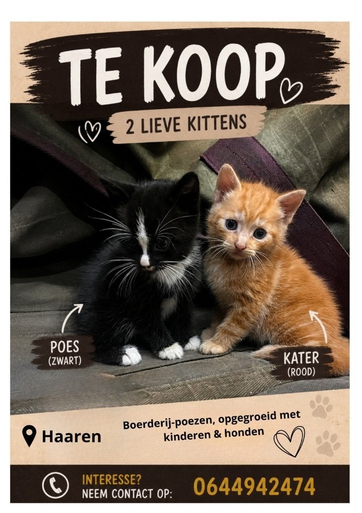 Poesje, Poes, 0 tot 2 jaar