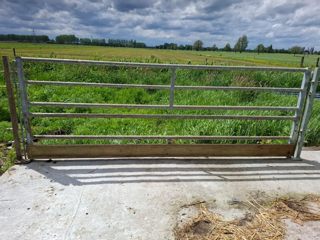 Veno hekken met palen, Meerdere dieren, Schaap