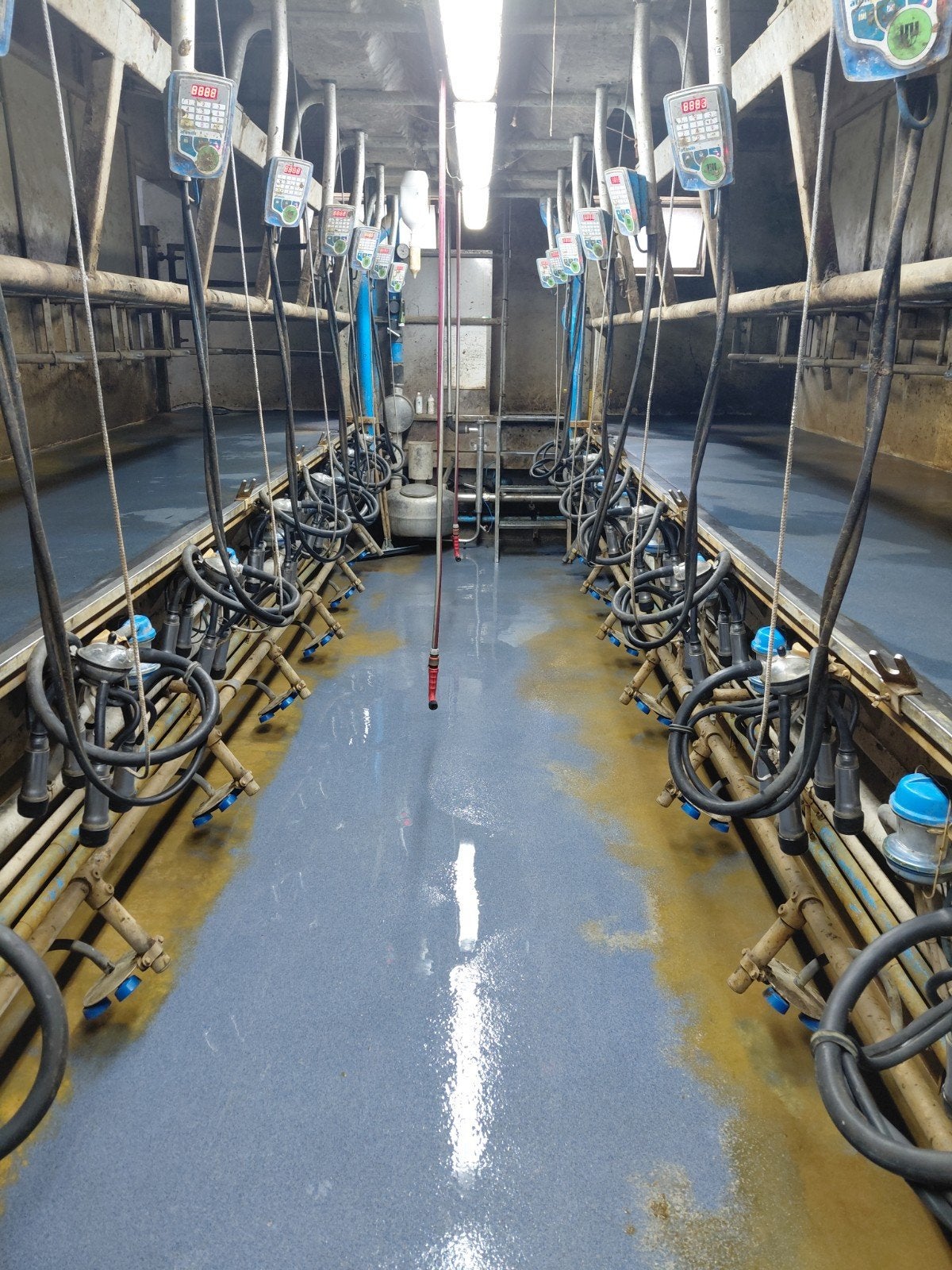 Fullwood melkstal 2x8, Zakelijke goederen, Ophalen, Veehouderij, Melktechniek