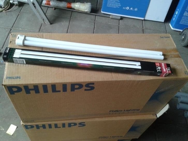 0337. Philips lamp PL-Ll 55w 830 4p, Ophalen, Nieuw, Overige fittingen, TL-buis