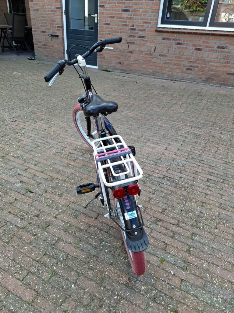 Alpina 20 inch meisjesfiets - Zo goed als nieuw, Ophalen, 20 inch of meer, Velgrem, Alpina