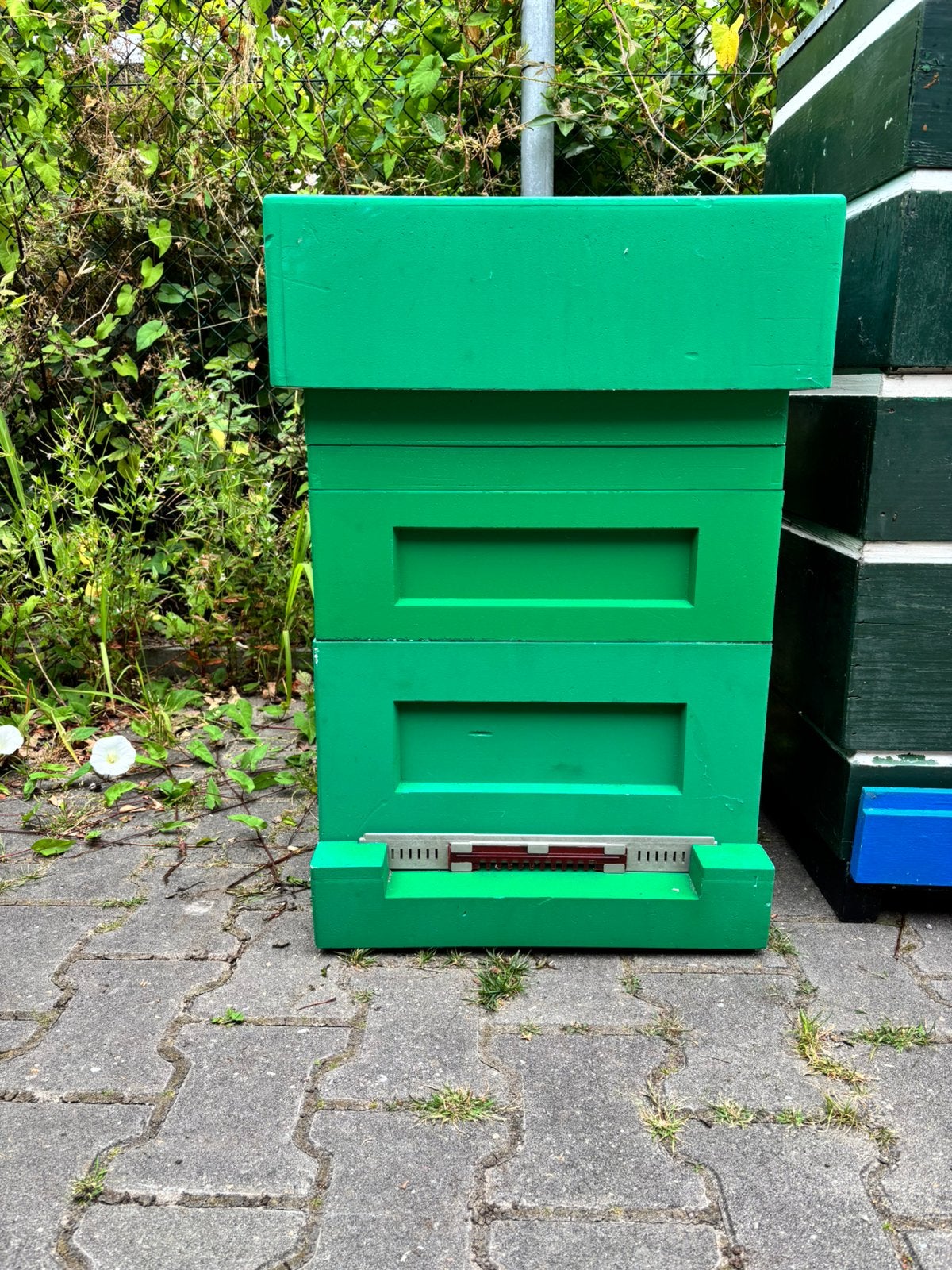 Bijenkast Spaarkast groen gelakt polystyreen, Bijen