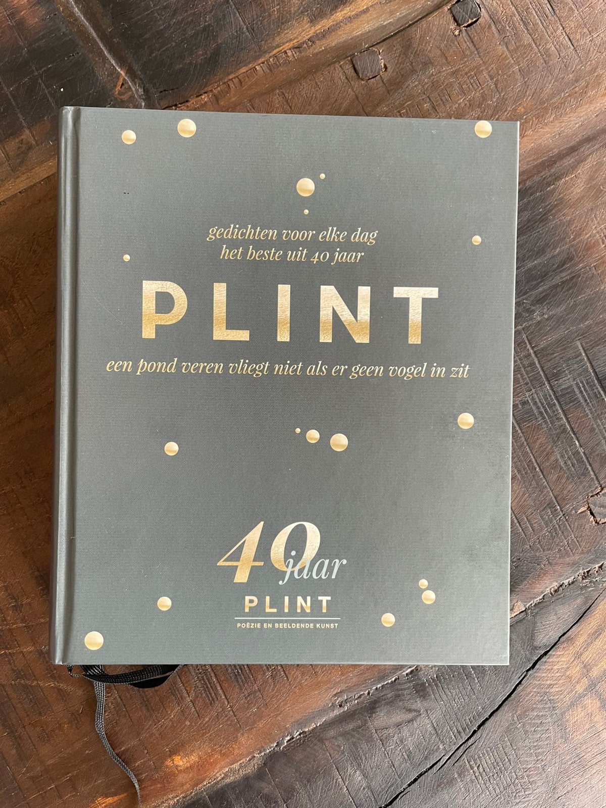 Plint Jubileumboek 40 jaar, Verzenden, Zo goed als nieuw