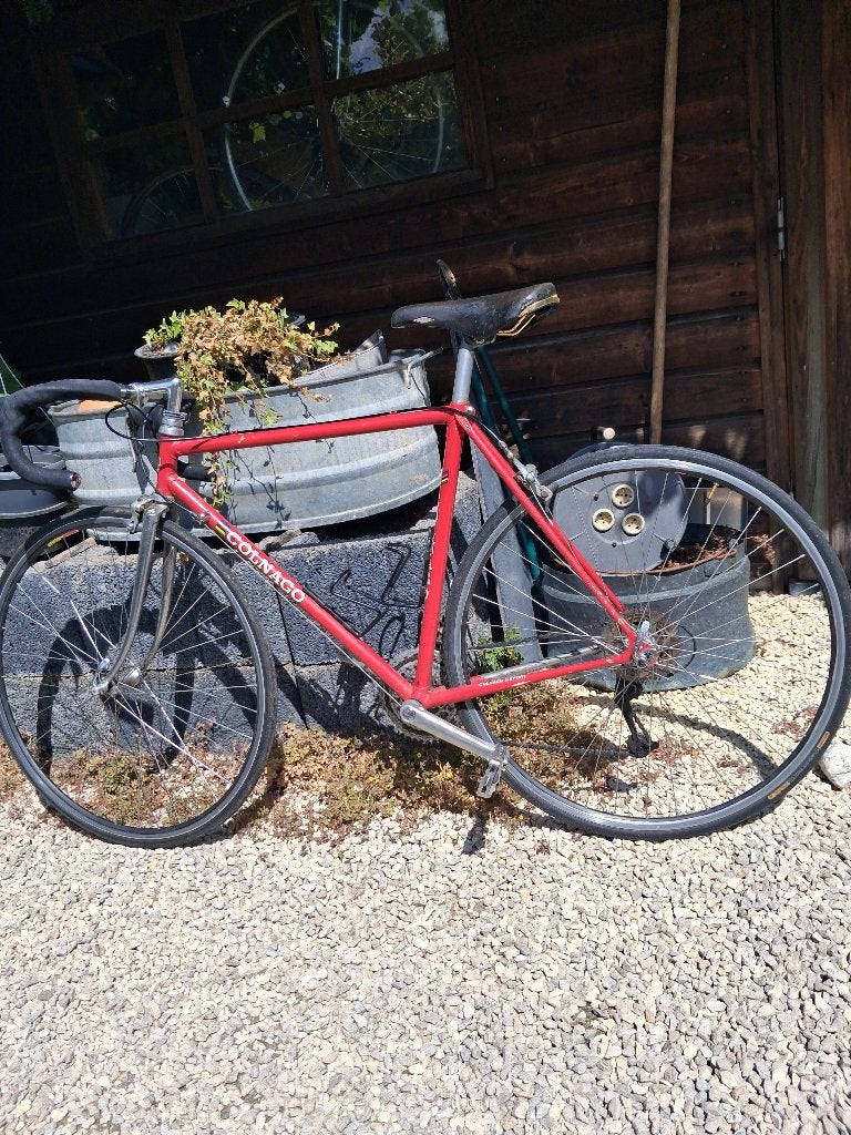 stalen race fiets van Colnago Export, Fietsen en Brommers, Fietsen | Racefietsen, 28 inch, Gebruikt, Staal, Meer dan 20 versnellingen