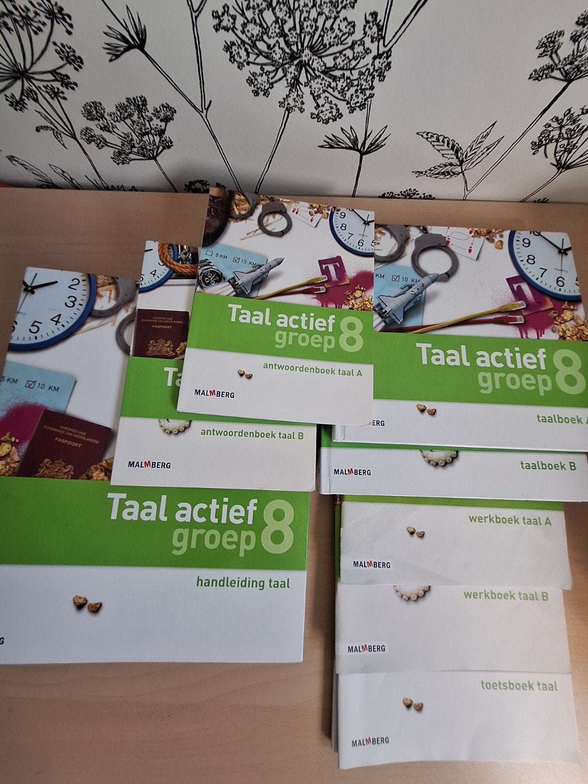 Taal actief groep 8 compleet pakket Malmberg, Ophalen of Verzenden, Gelezen, Overige niveaus, Nederlands