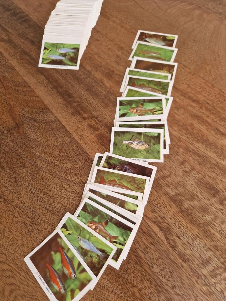 Rizla Zo leer je vissen kennen plaatjes, Ophalen of Verzenden, Gebruikt