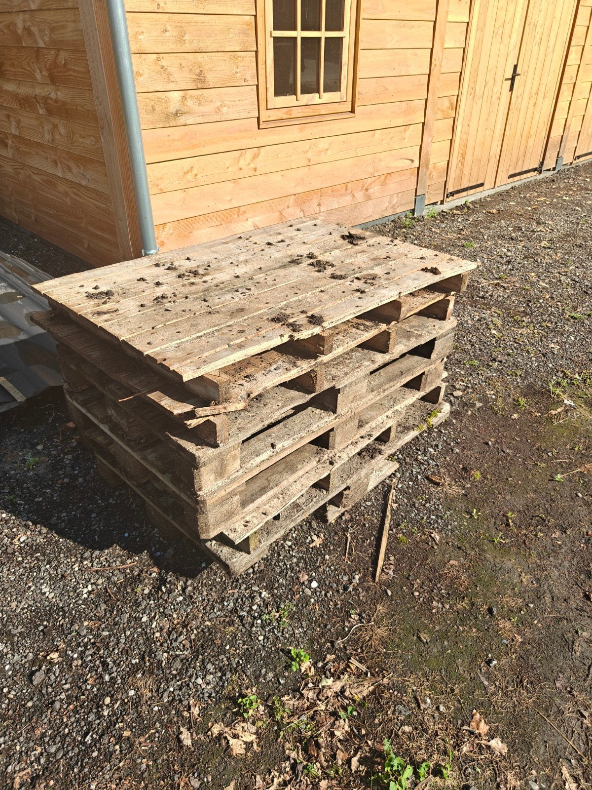 Gratis gebruikte pallets als stookhout, Ophalen, Gebruikt, 50 mm of meer, Pallet