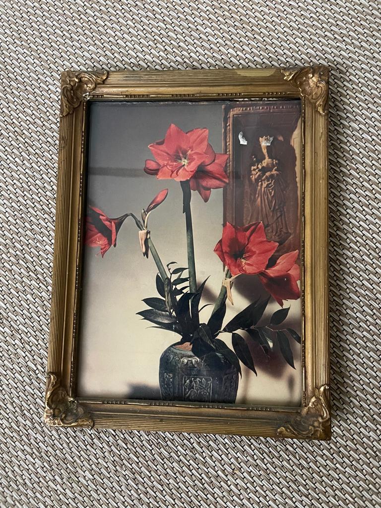 Vintage foto van Amaryllis in vaas in gouden lijst, Ophalen, Zo goed als nieuw, Minder dan 50 cm, Foto of Poster