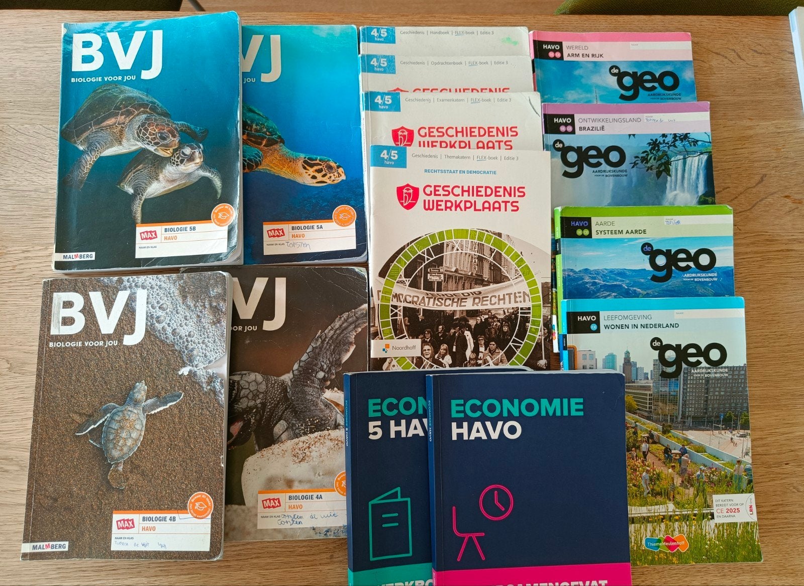Bio, geschiedenis, eco, ak, wisk A schoolboeken 4 & 5 HA, Ophalen of Verzenden, Gelezen, HAVO, Biologie
