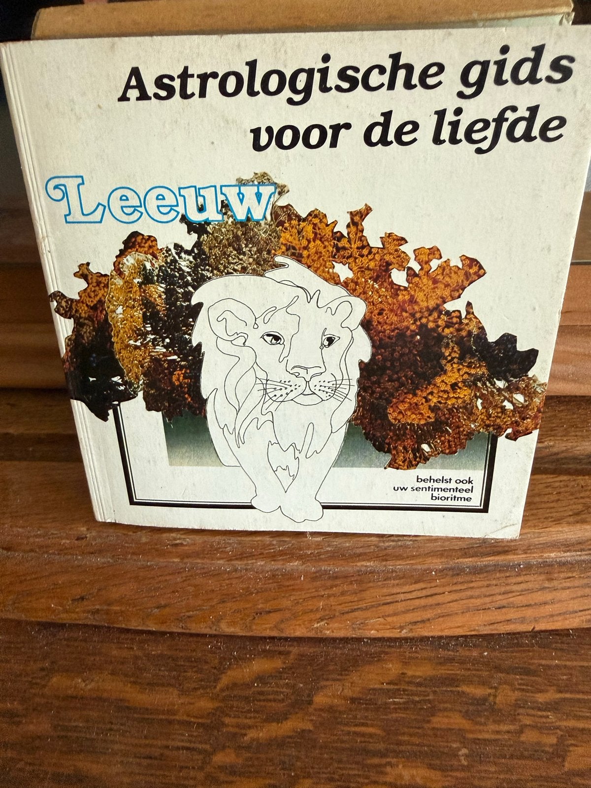 Astrologische gids voor de liefde - Leeuw, Ophalen of Verzenden, Zo goed als nieuw, Astrologie, Overige typen