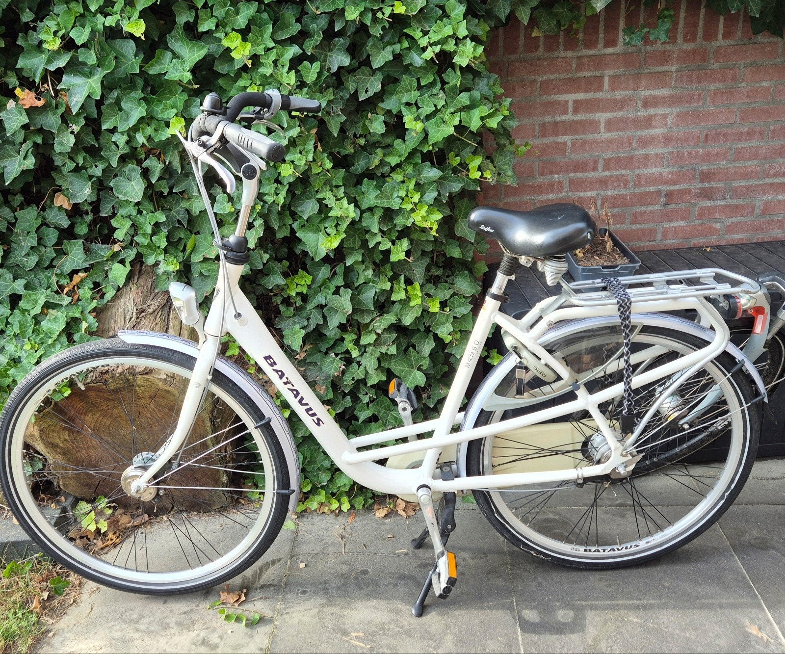 Batavus Mambo Deluxe damesfiets, Fietsen en Brommers, Ophalen, Batavus, Versnellingen, 53 tot 56 cm