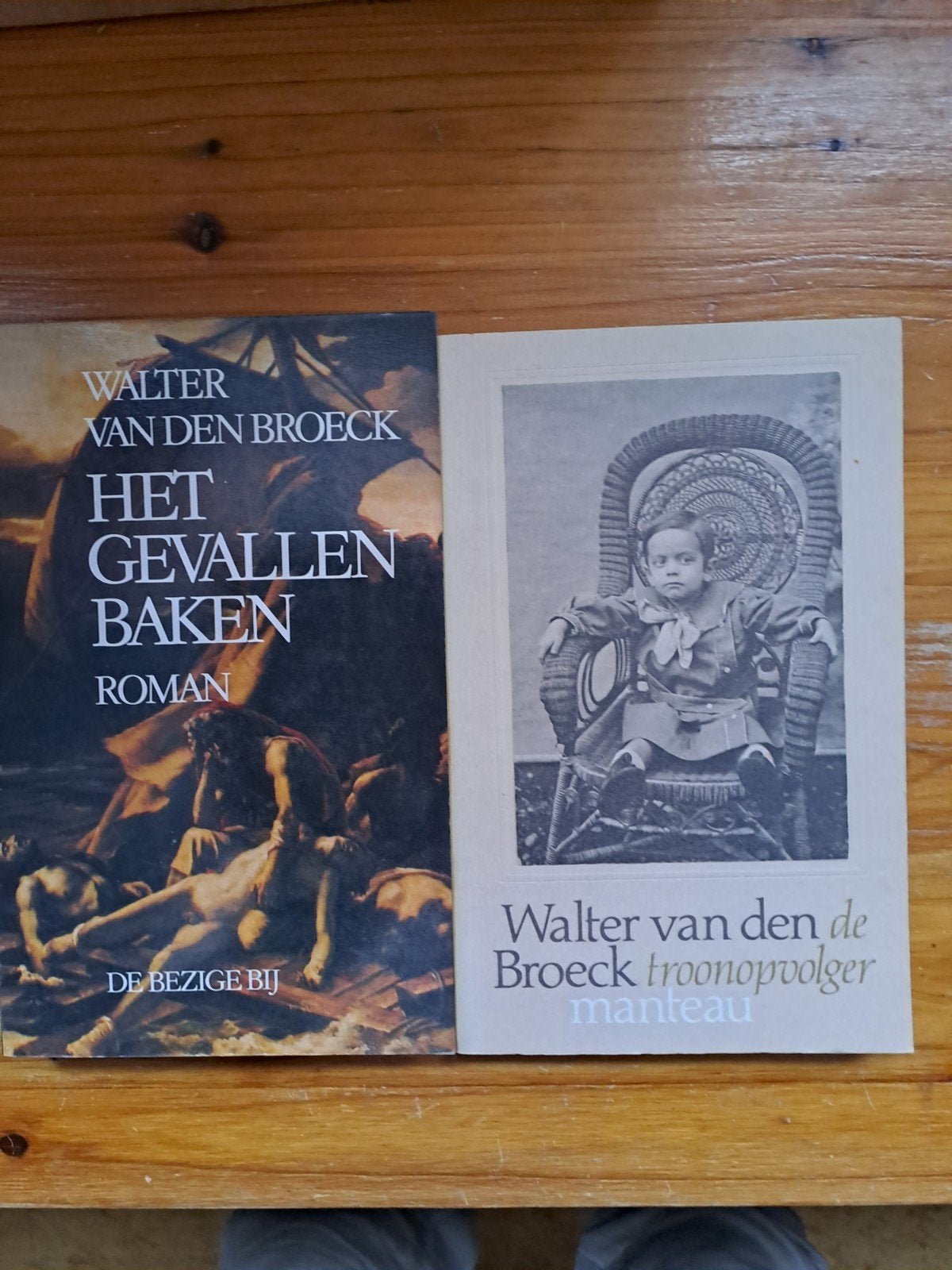 W. van den Broeck - Het gevallen baken, Boeken, Ophalen of Verzenden, Zo goed als nieuw, W. van den Broeck
