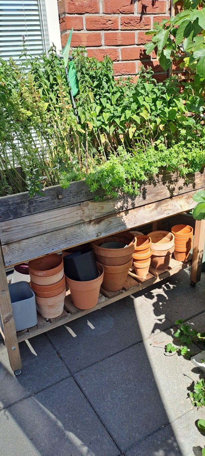 Moestuinbak, Ophalen, Gebruikt, 100 cm of meer, Balkon