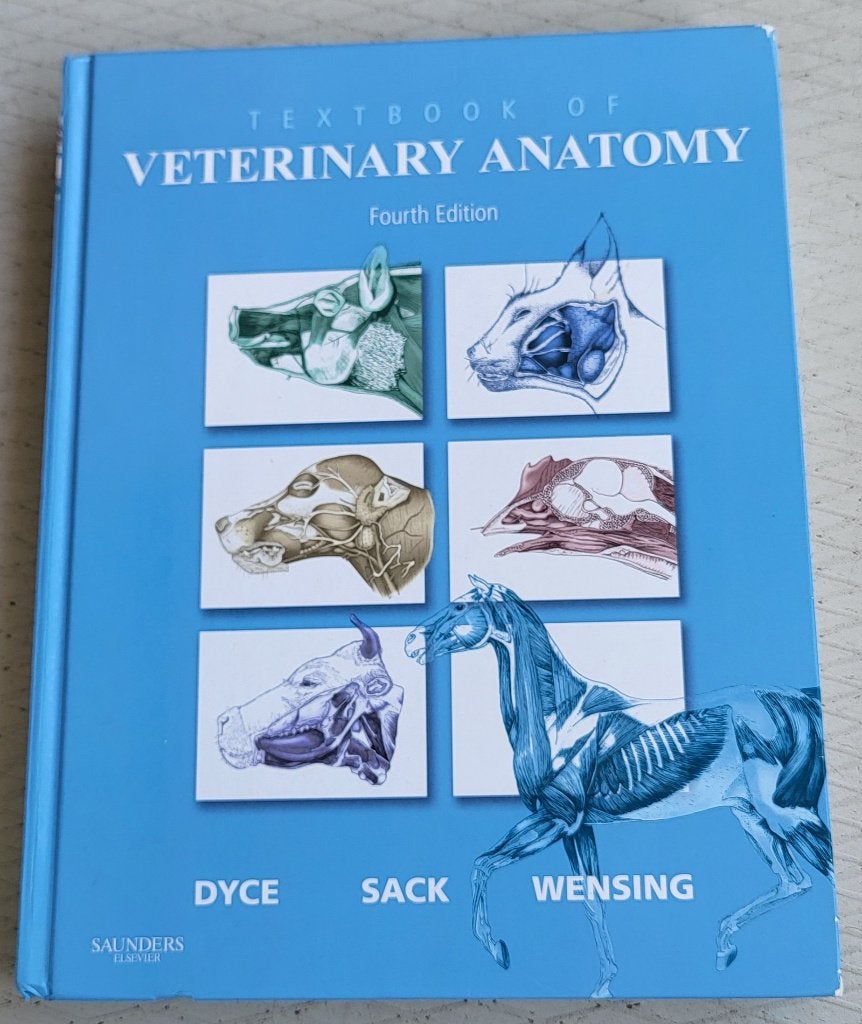 Textbook of Veterinary Anatomy, Boeken, Ophalen, Beta, Zo goed als nieuw, WO