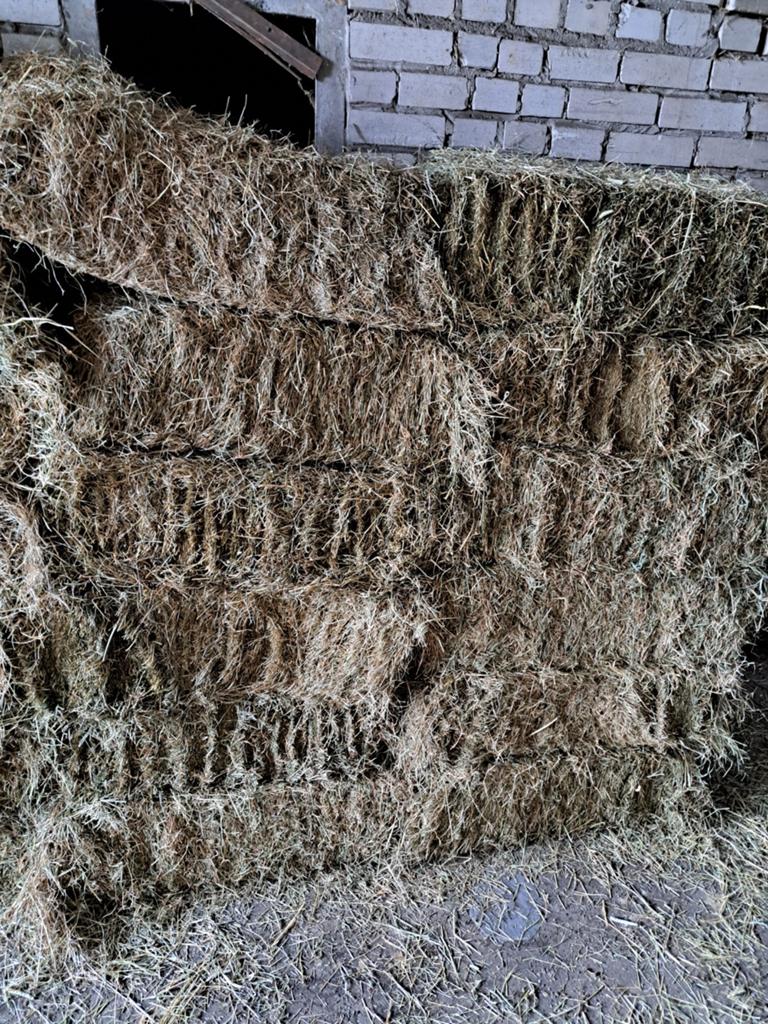 Kleine balen hooi van goede kwaliteit tweede snee, Ophalen of Verzenden, Vee