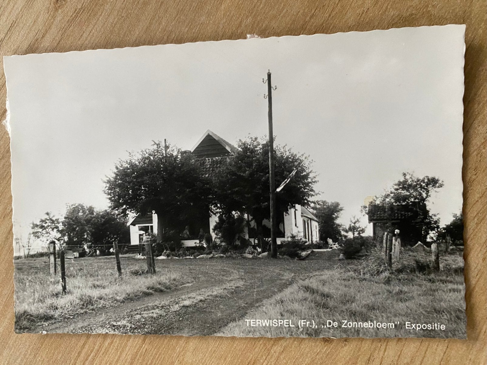 Ansichtkaarten Terwispel Friesland, Ophalen of Verzenden, Voor 1940, Zo goed als nieuw
