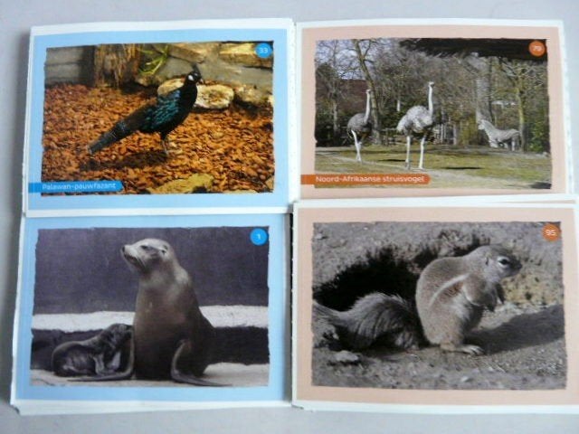 Jumbo # Diergaarde Blijdorp complete serie plaatjes.= omschr, Jumbo, Ophalen of Verzenden