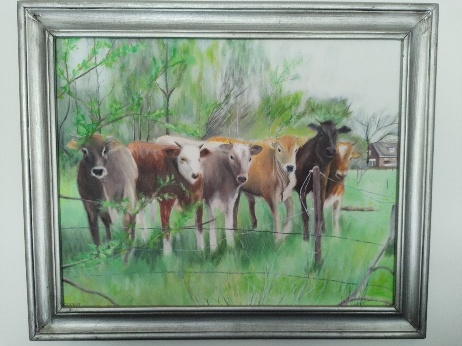 Schilderij met kalveren in de wei - lijst 58x48 cm, Ophalen of Verzenden